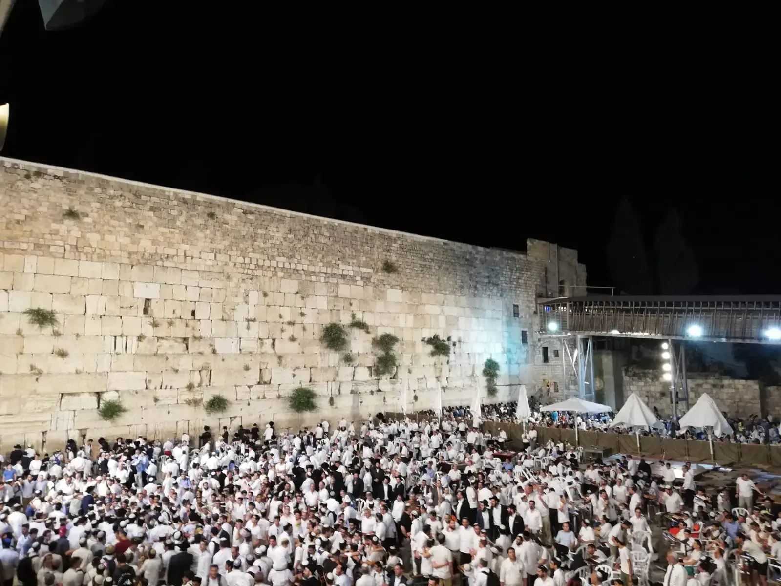 מסורת של אקטיביזם: ירושלים מובילה כבירת הפעילות החברתית של ישראל