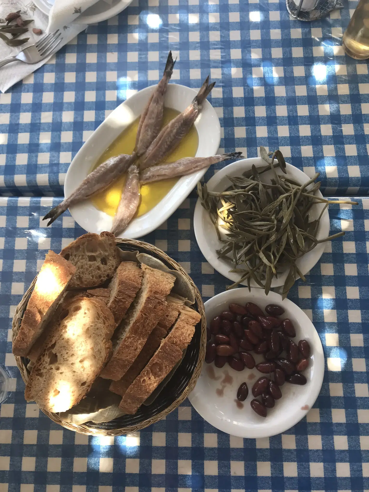 האם אכילת 2 קופסאות סרדינים בשבוע יכולה למנוע את המחלה הזו?
