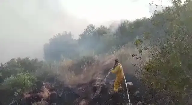 ילדה בת ארבע נלכדה בכלי רכב שעלה באש ליד ירושלים ומתה
