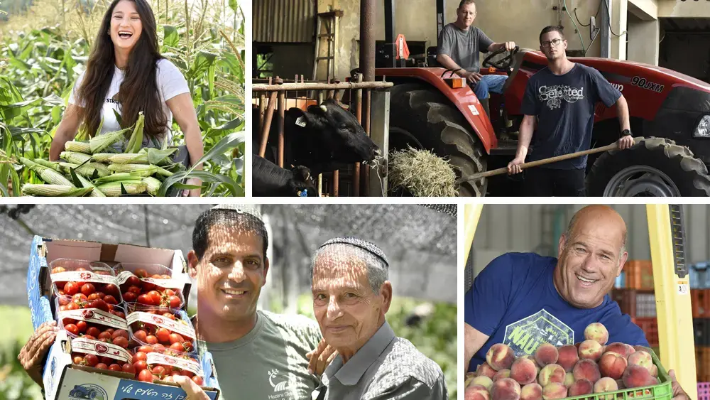 "המדינה החליטה להילחם בנו": החקלאים הישראלים מתקשים לחגוג את חג הביכורים