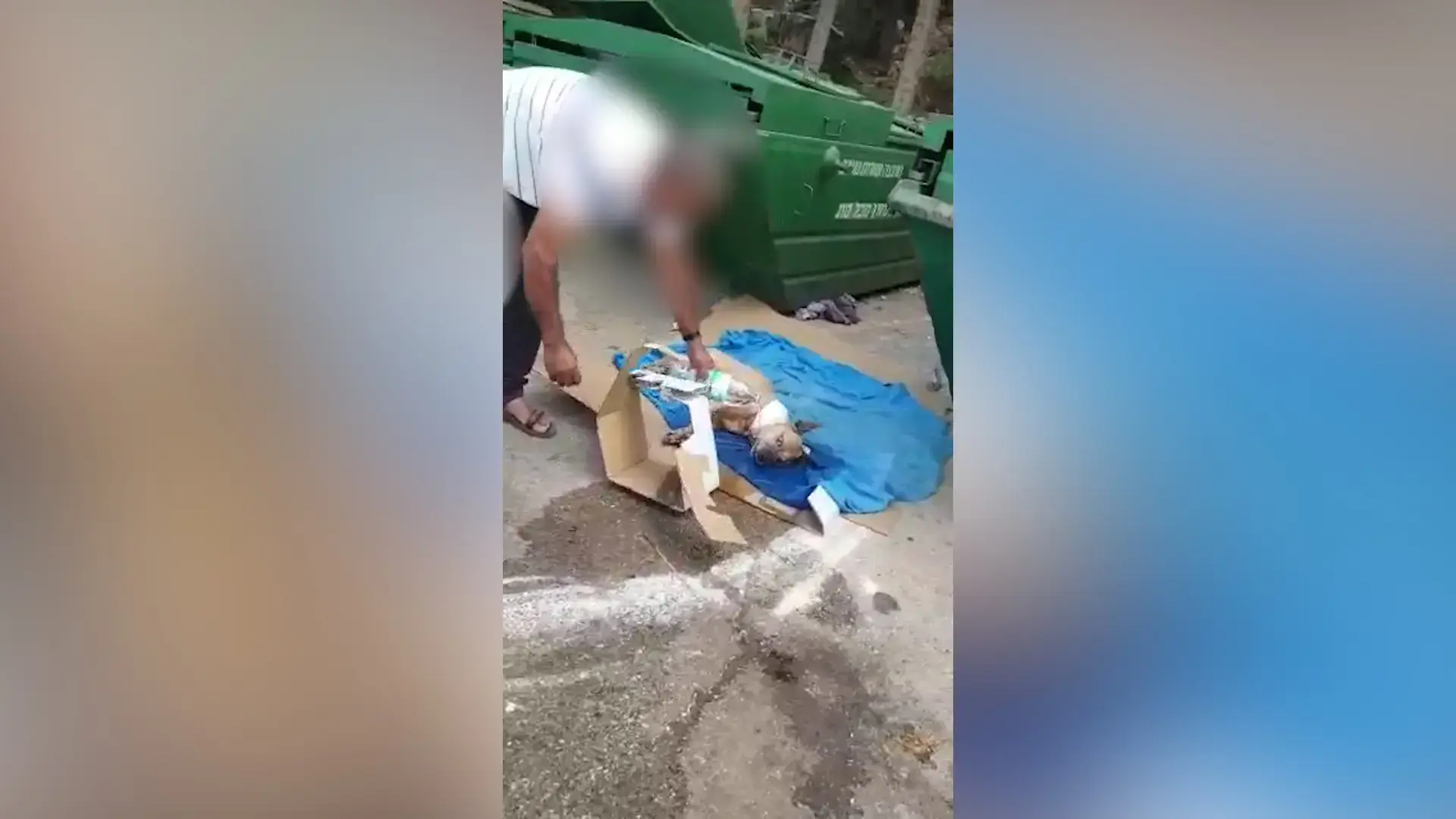 "מעל בתפקידו ללא חמלה'': עצומה נגד וטרינר שהשליך כלבה לאשפה