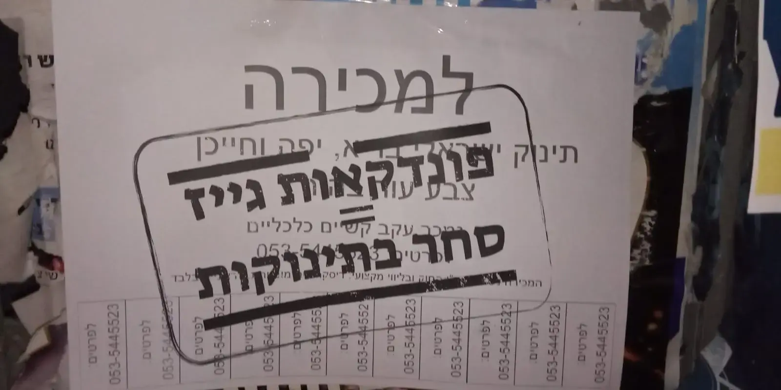 "המשפחה הרגילה נעלמה מסדר היום הציבורי": מאבק נגד מצעד הגאווה בחיפה
