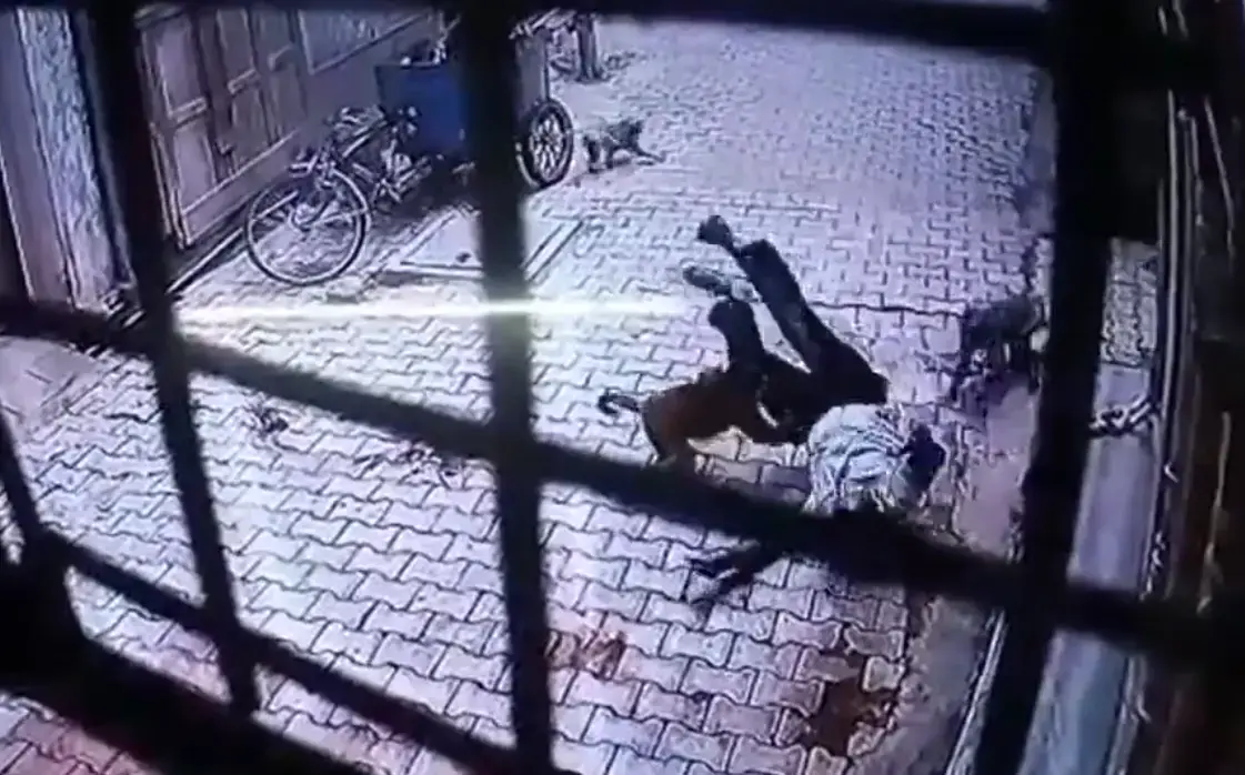 תיעוד: קבוצת קופים הציבה מארב מתוכנן לאדם בצפון הודו