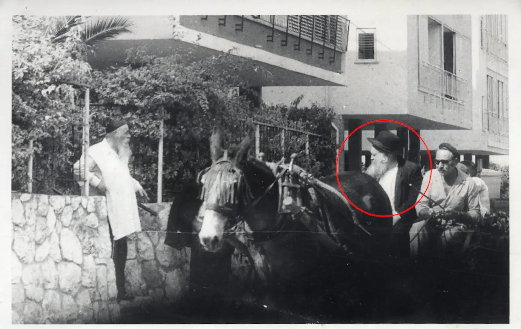על סוס ועגלה: תיעוד בכיר הרבנים החרדים עומד למכירה ב-1,000 דולר