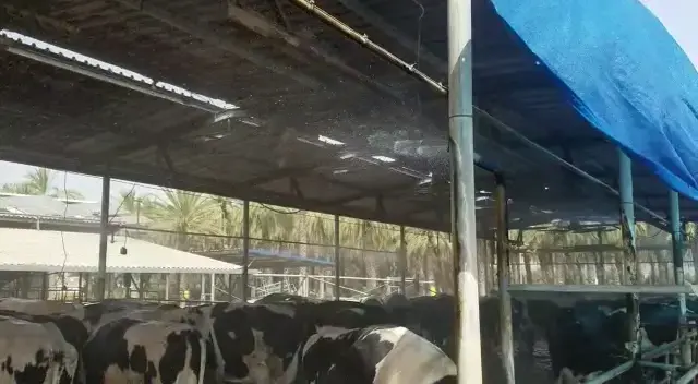 גל חום קיצוני בפתח: התחזית המלאה והאזהרות לציבור הרחב