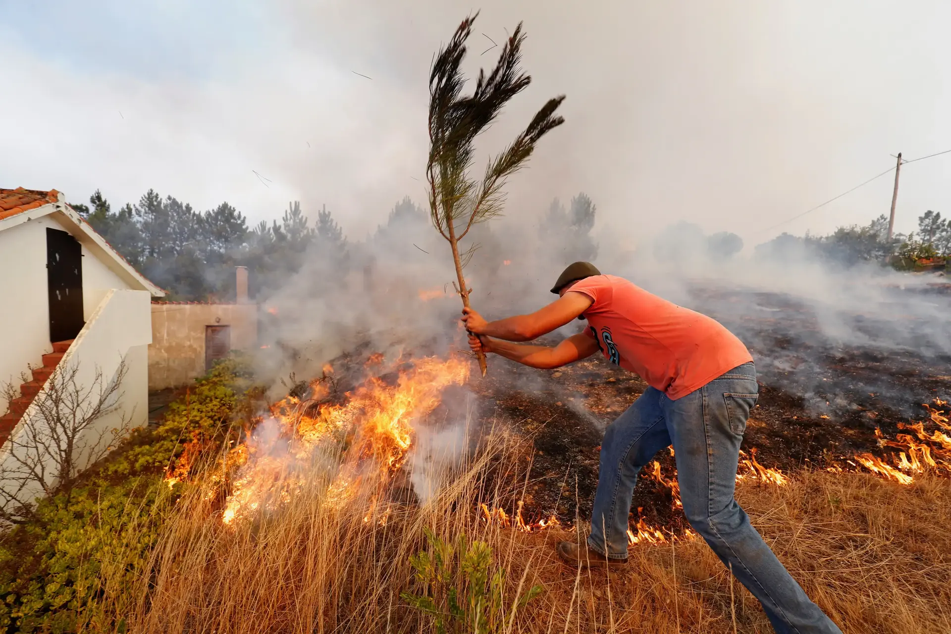 עשרות פצועים בשריפות יער גדולות במרכז פורטוגל