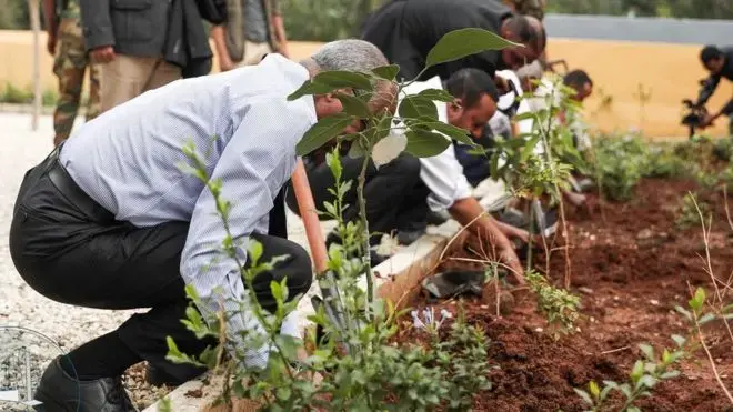 אתיופיה: 350 מיליון עצים חדשים נטעו ביום בשיא עולמי חדש
