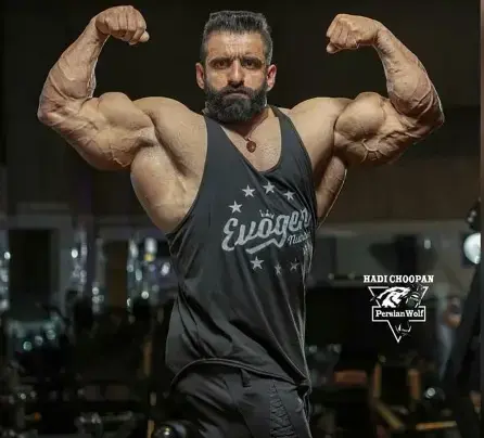 "הזאב הפרסי" לא מורשה להיכנס לארה"ב: "הוא איראני, זו בעיה"