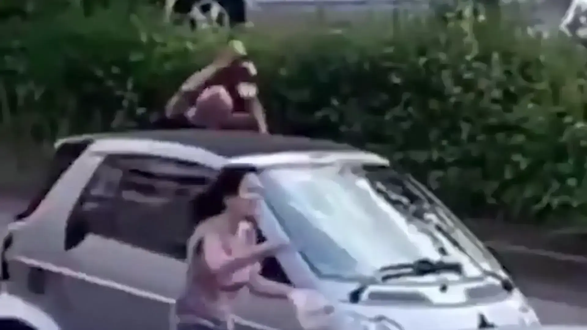 זוועה בגרמניה: ירדני רצח את שותפו לשעבר עם חרב באמצע הרחוב
