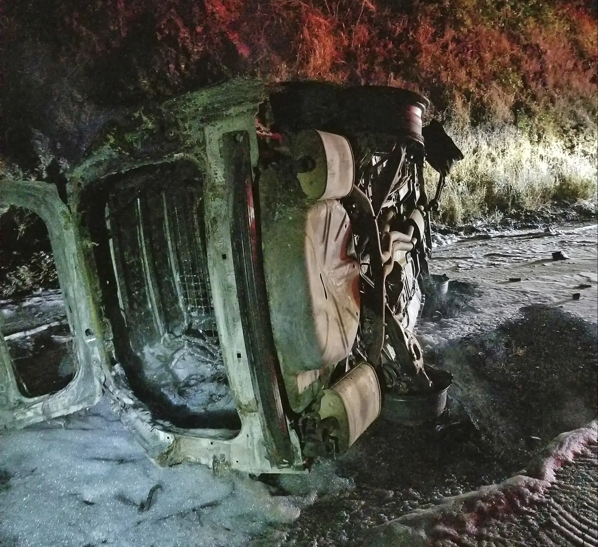 דוב צנח על ניידת בקליפורניה וריסק אותה. לשוטר (ולדוב) שלום