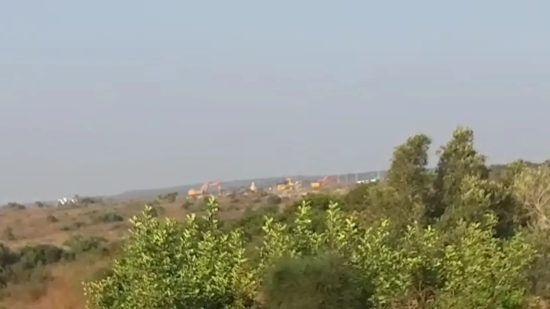 שכונה על חשבון האיילים: קק"ל אישרה כריתת מאות עצים בזכרון יעקב