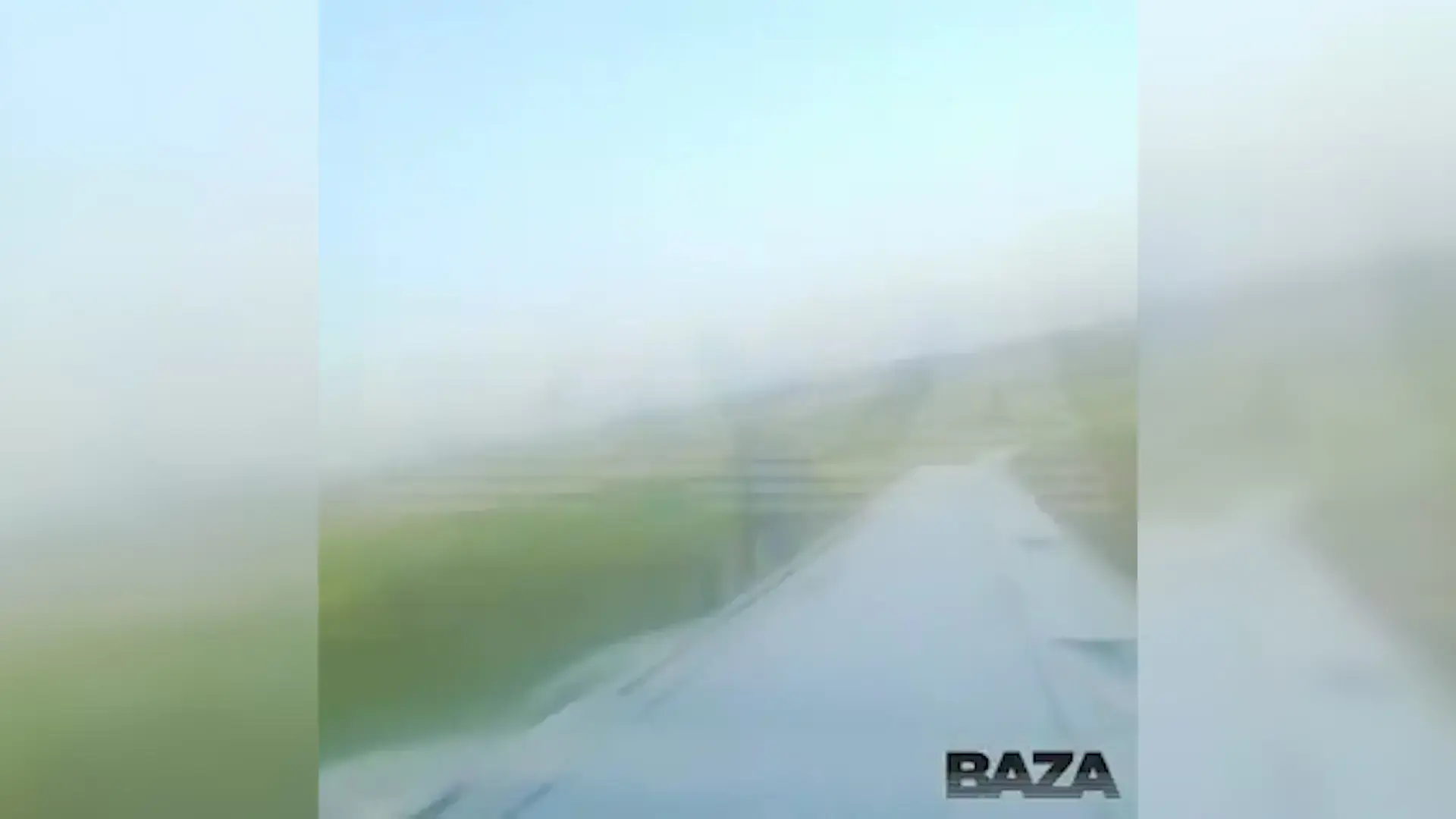 הבריח את החתול השמן שלו למטוס - ואיבד את כל נקודות הטיסה