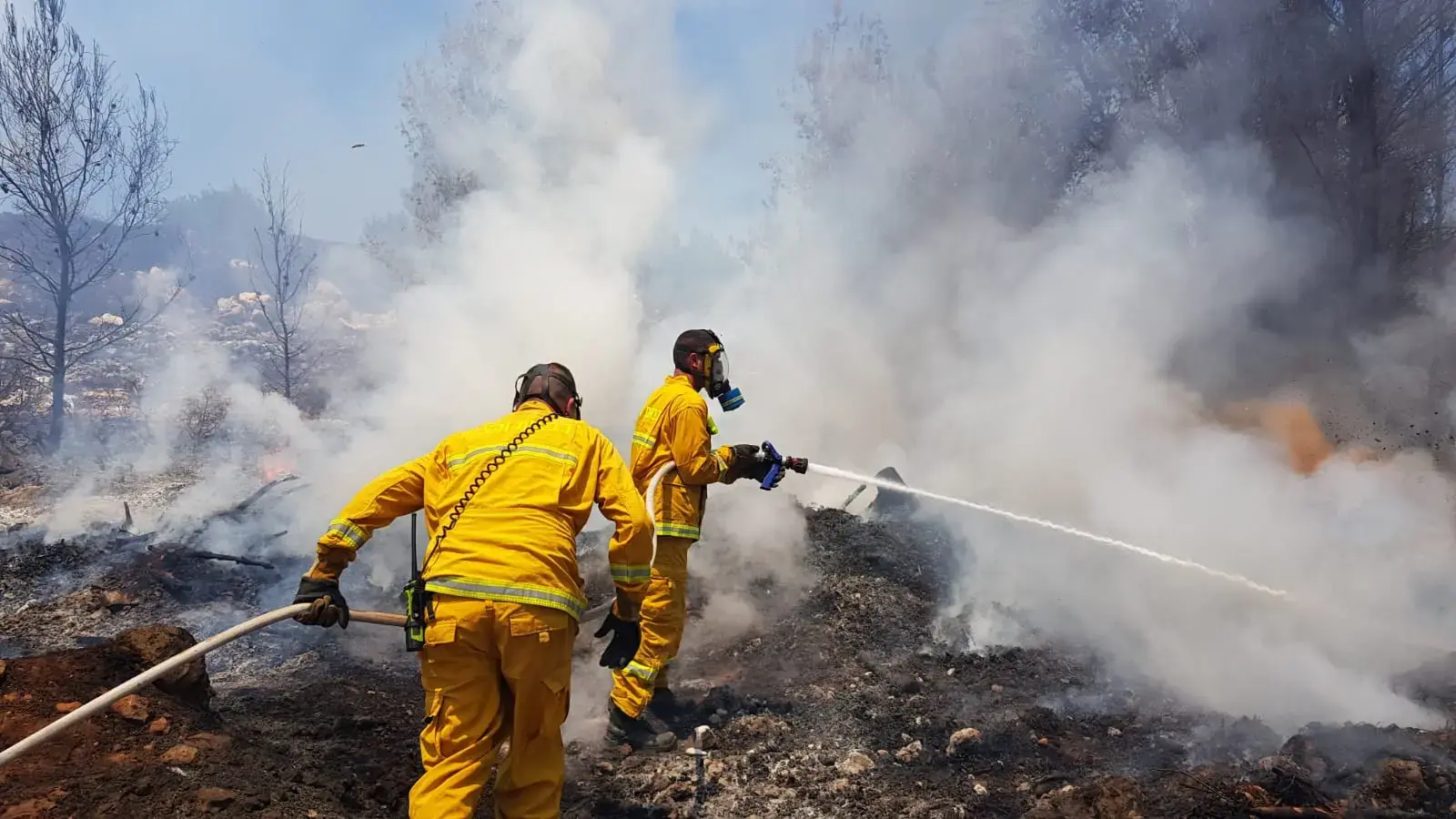 השריפה ברמת הגולן: 2,500 דונם משמורת הטבע סוסיתא נשרפו