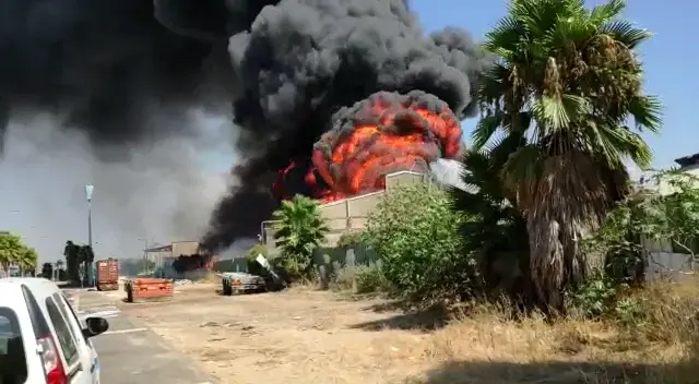 שריפת ענק במחסן במפעל שמן בחיפה; 36 צוותי כיבוי במקום