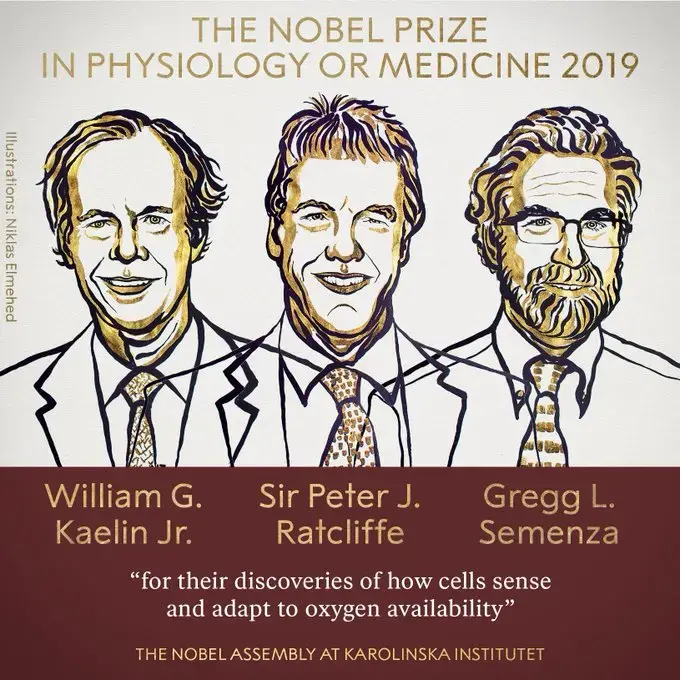 הזוכים בפרס נובל לרפואה: שלושה חוקרים שעסקו בחקר חמצון תאים