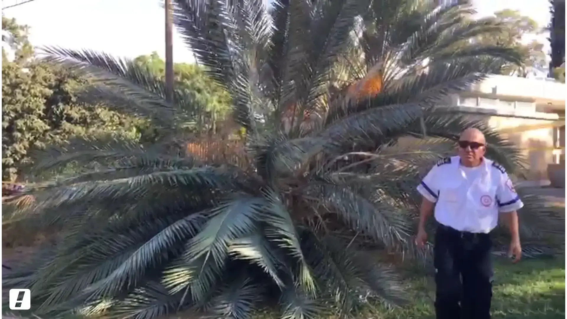 קריסת העץ בעמק חפר: הילדה בת התשע שנפצעה באורח קשה שבה להכרה