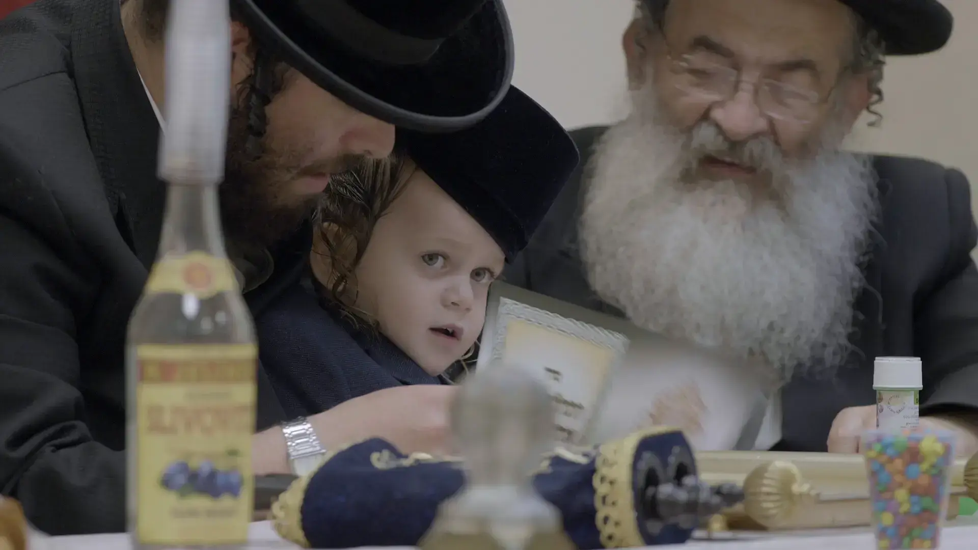 לתפוס את האדמה: "מלכויות של מטה" פותחת צוהר שהוא מעבר למבט כללי על חרדים