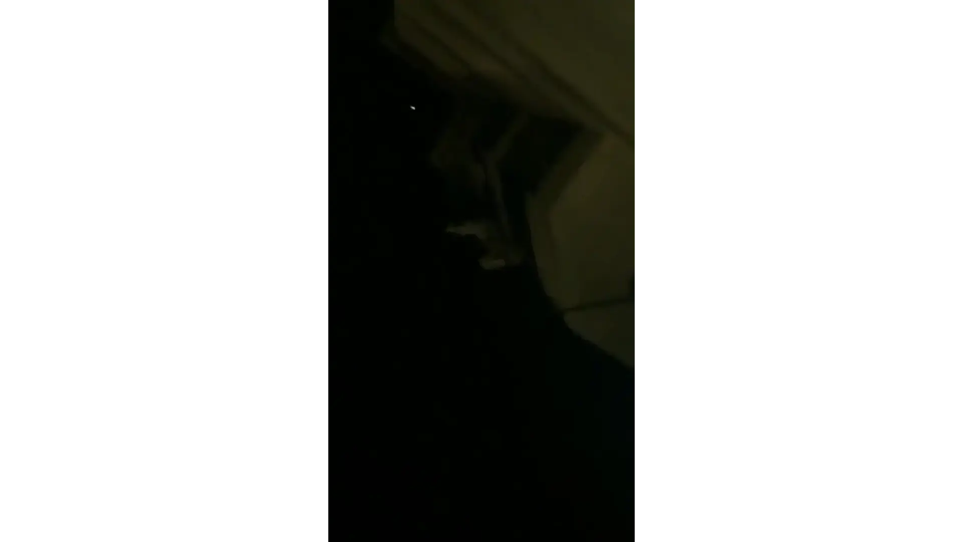 בכיר איראני: התקיפות של ישראל באזור לא יעברו ללא תגובה