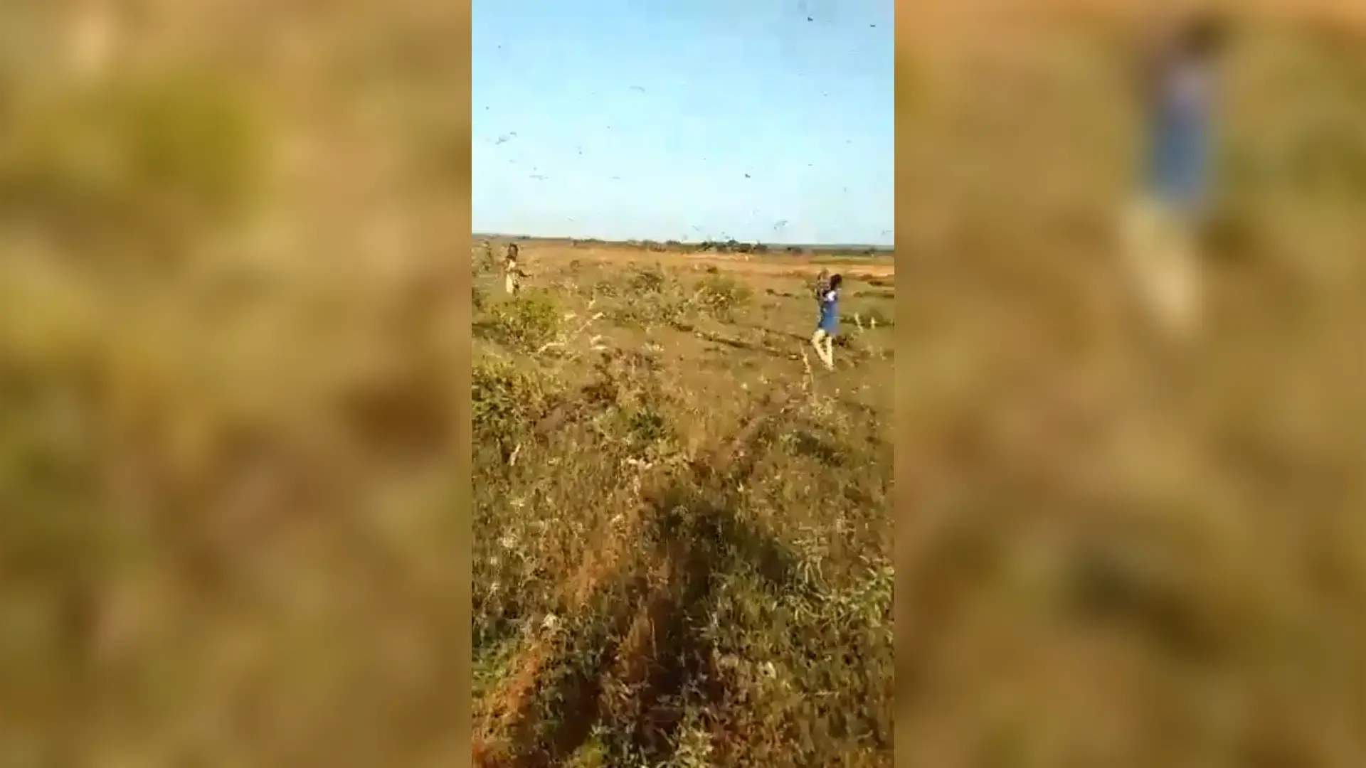 סומליה: א-שבאב יורה במקלעים לעבר נחילי ארבה
