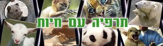תרפיה עם חיות