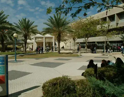באוני' ב"ש אפשר למחות, אבל לא על הדשא
