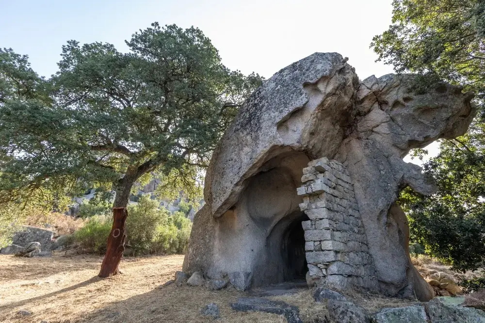 האחים הכי מבוגרים בעולם מגלים את סוד המרק שעוזר להם