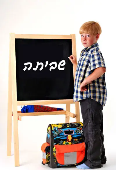 שביתת העל-יסודיים מגיעה לבית המשפט