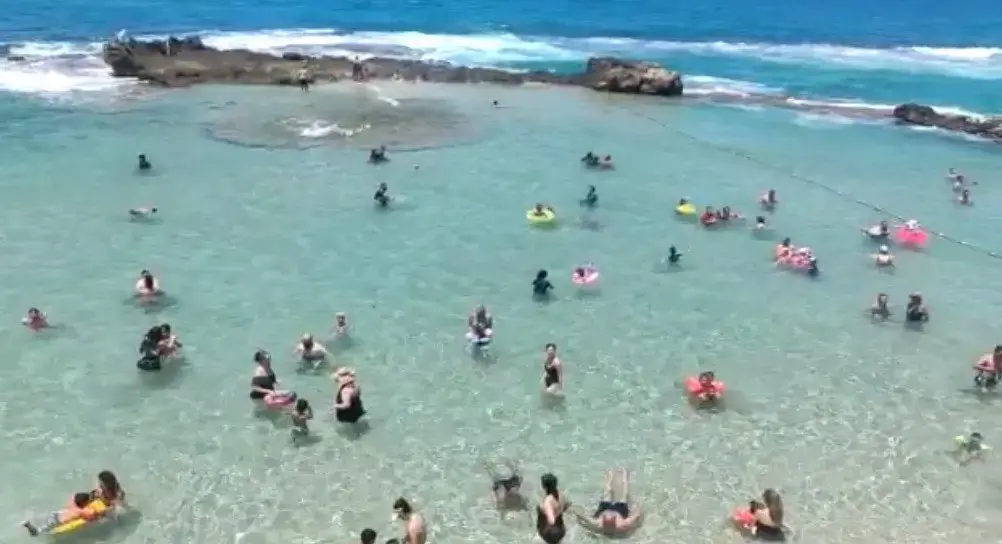 שפשוף בצל על הגוף: טיפים מוזרים להתמודדות עם החום הכבד - שחלקם באמת עובדים