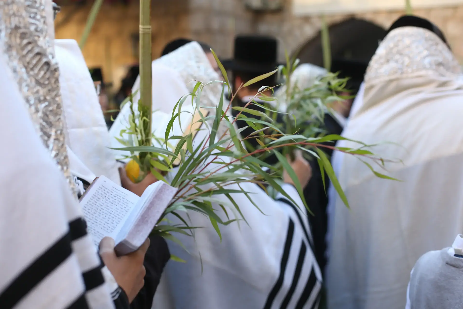 כיצד זוכים לשמחה אמיתית: הרב פינטו על סוד השמחה בחג הסוכות