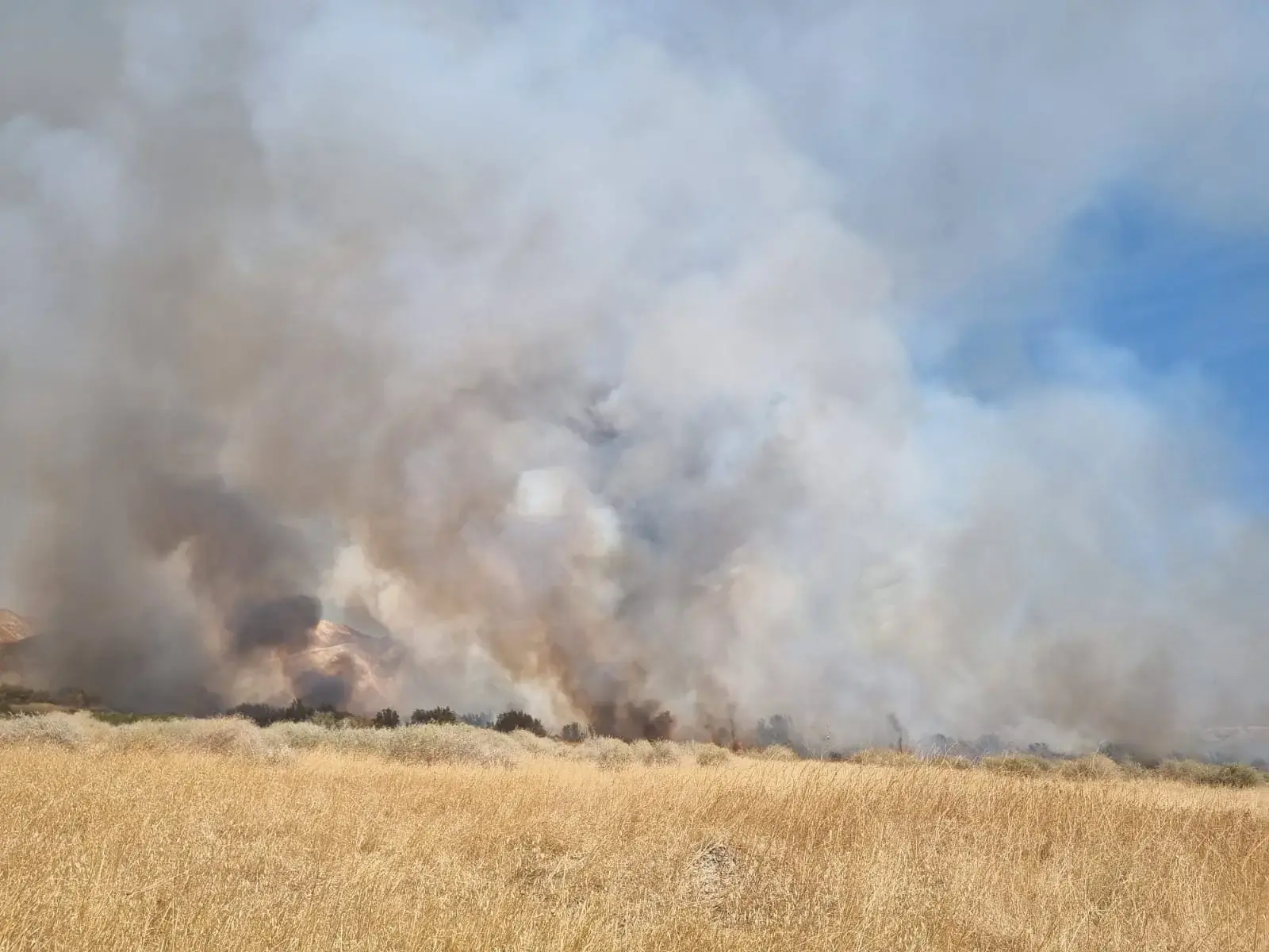האירוע בבקעת הירדן: ילד פלסטיני נהרג כתוצאה ממשחק בנפל תחמושת צה"לית