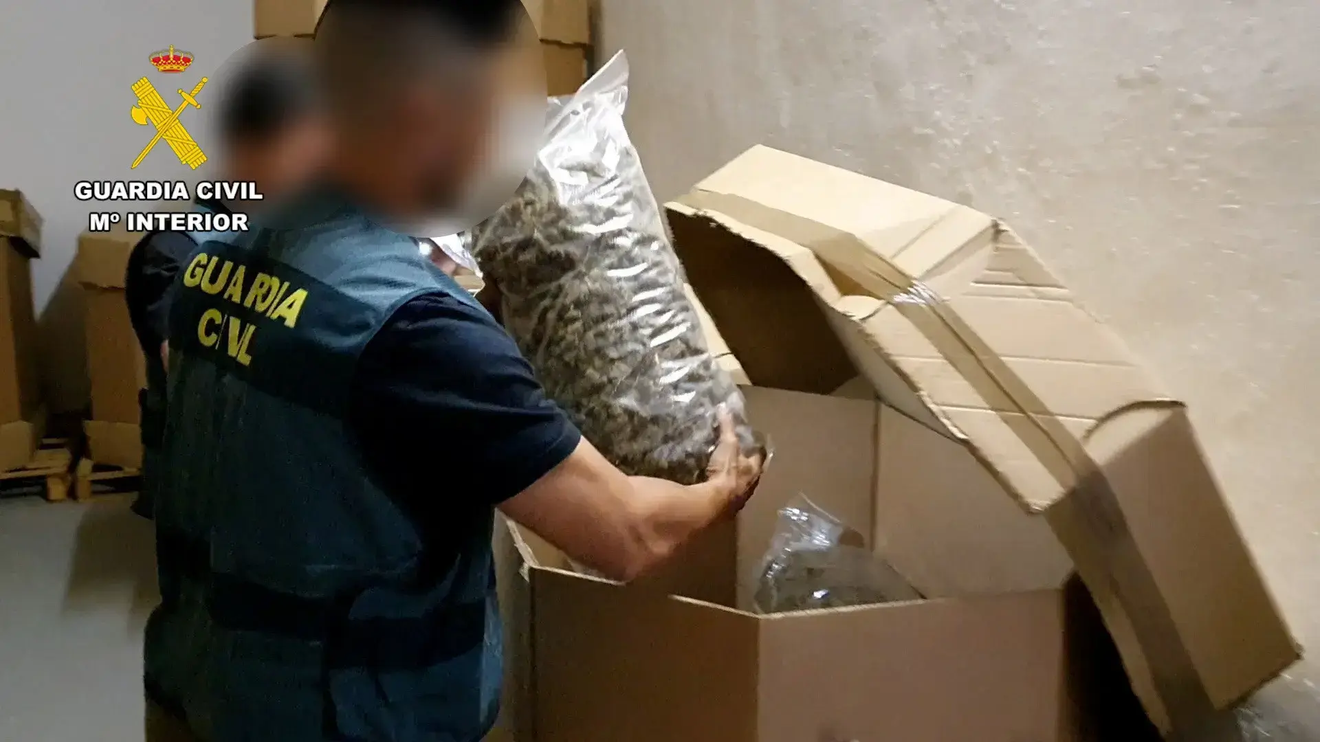 חוקרים מצאו את הסיבה: למה עישון גראס גורם למאנצ'יז?