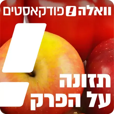 לא אוכלים 3 שעות לפני השינה: למה זה בעצם כדאי?