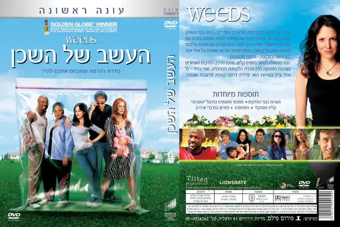 מוזיקאים יוצרים תחת סטלה