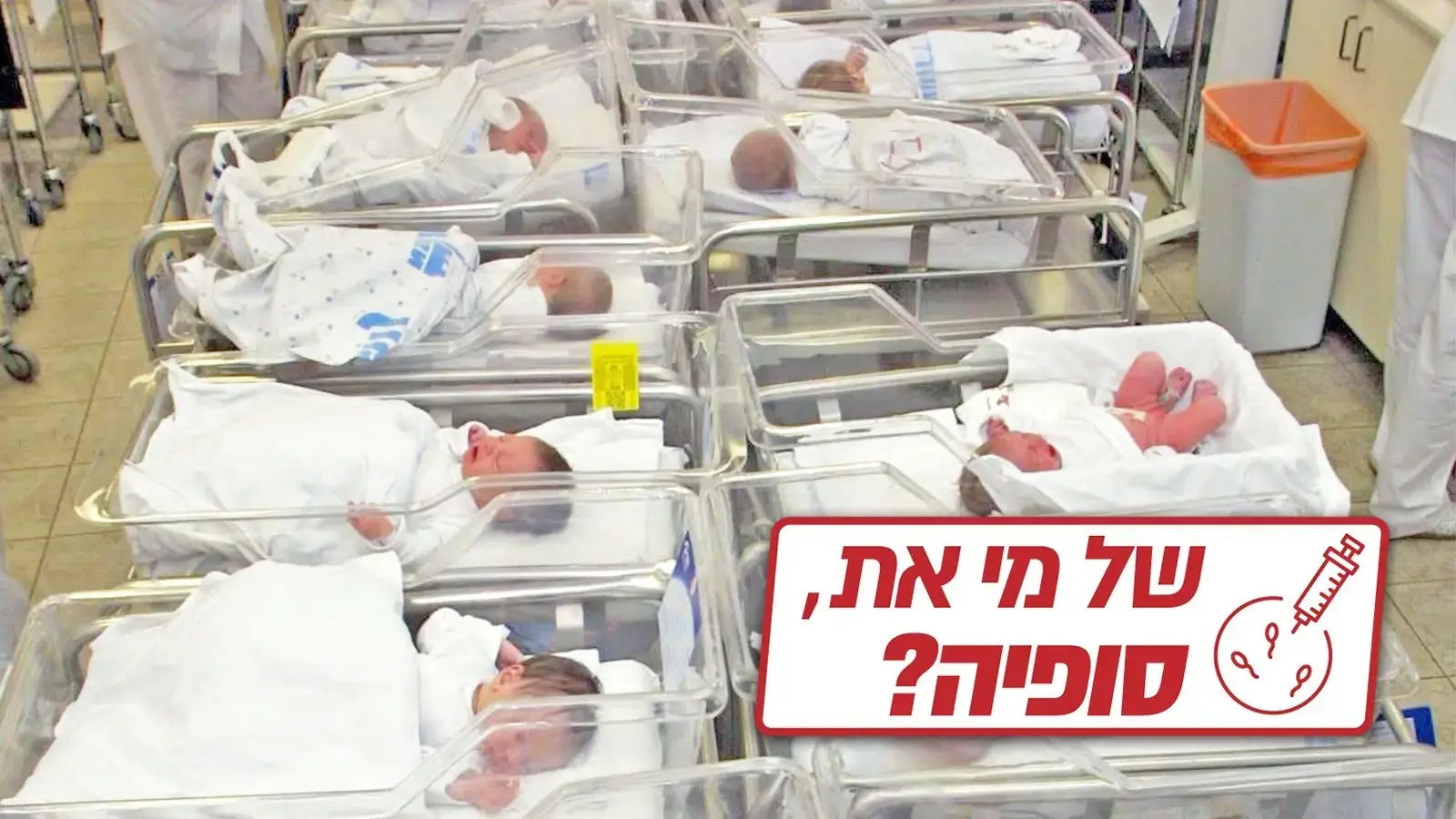 החלום ושברו: השלכות פסק דין סופיה על עתיד הפוריות בישראל