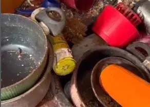 כיור מלא בכלים מלוכלכים לא רק נראה ומריח רע - הוא גם מסכן את בריאותכם