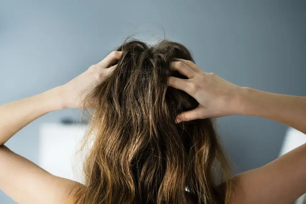 היובש מטריף אתכם? הנה כמה טיפים שיכולים לעזור
