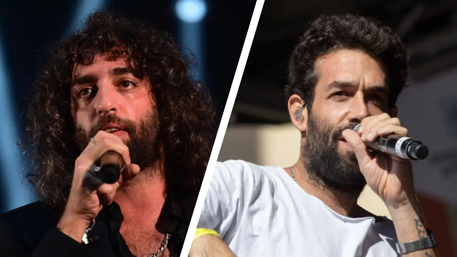 אחרי שמכרו כ-50 אלף כרטיסים: טונה ורביד פלוטניק הוסיפו שלוש הופעות