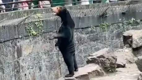 גן חיות מחפש דובים אנושיים: "תהיו כמה שיותר מוזרים"