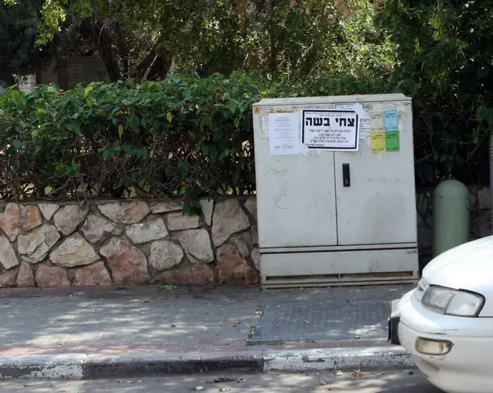 נעצר חשוד ברצח הנער צחי בשה