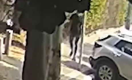 אושרה בקריאה ראשונה: הצעת החוק להתיר נשיאת נשק ארגוני ללא מגבלת זמן ומקום
