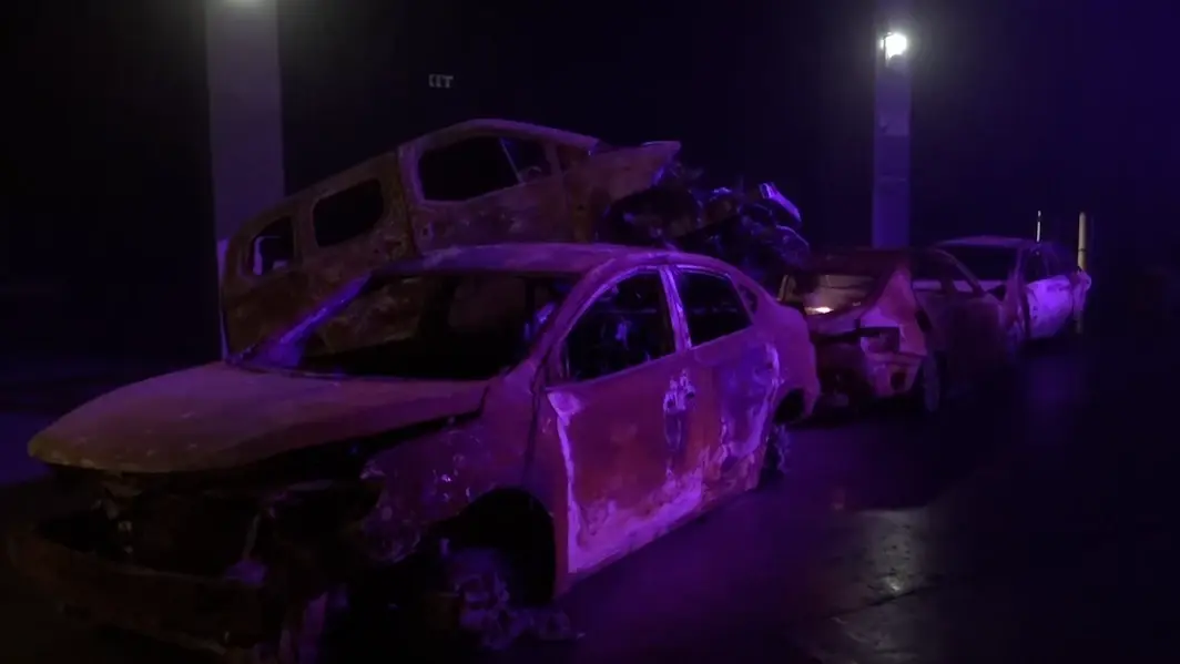 איך נמנעים מלהעביר את טראומת 7 באוקטובר לדור הבא? עצה של סופר מהפנט
