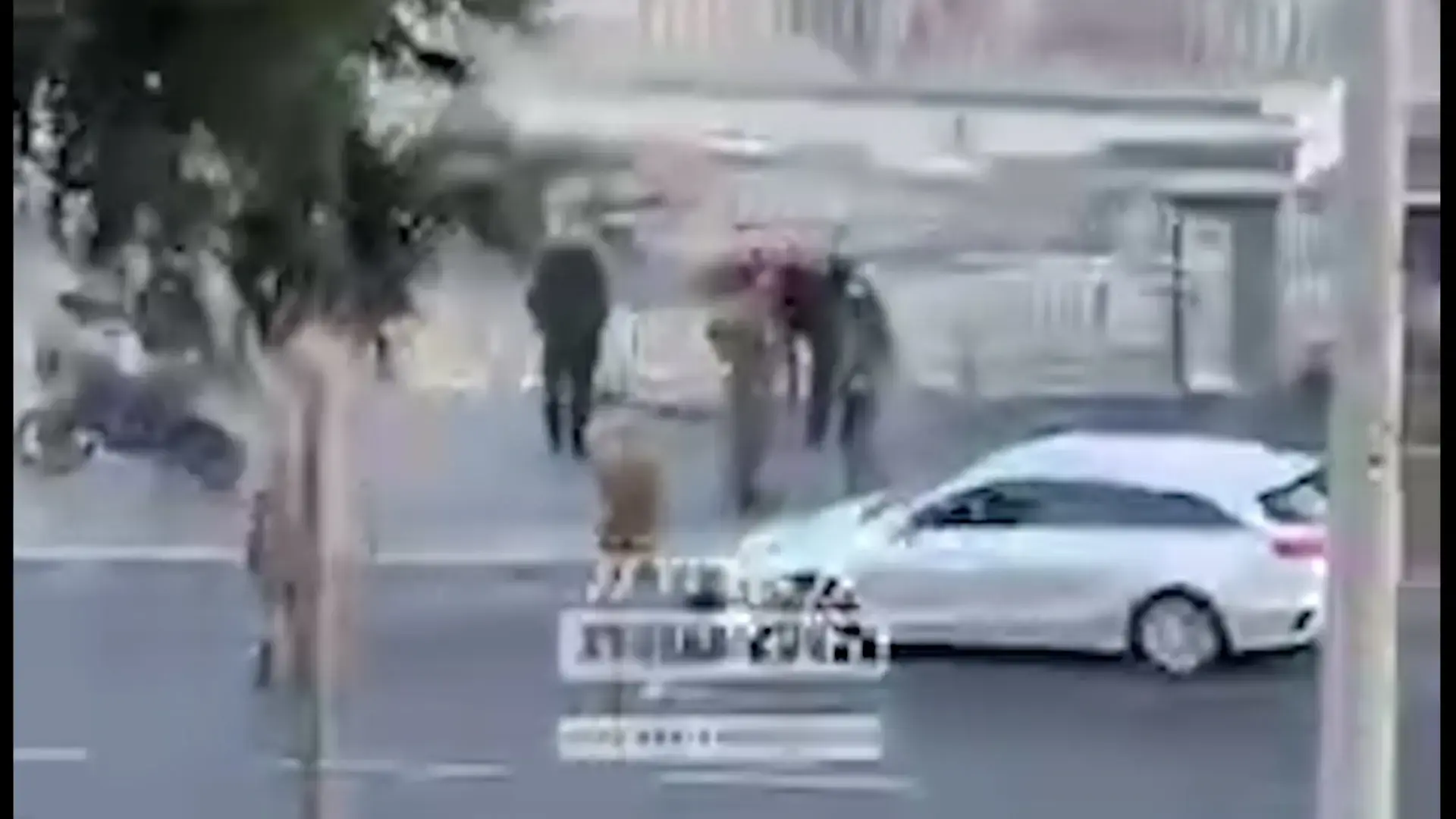 די למרוח אותנו: הצדק של יובל חייב להיראות