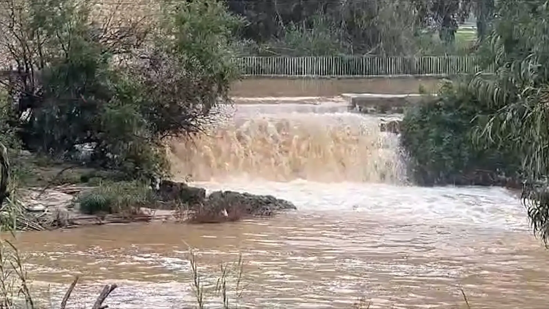 המחיר של משבר האקלים: זה מה שקורה לגוף של כולנו