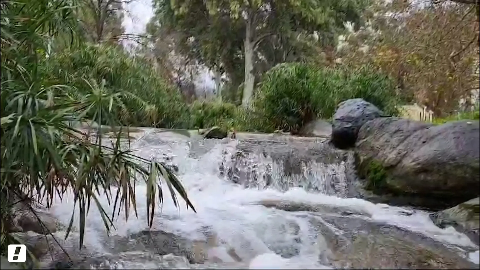 התחזית: מעונן חלקית. ייתכן גשם מקומי מצפון הארץ עד צפון הנגב