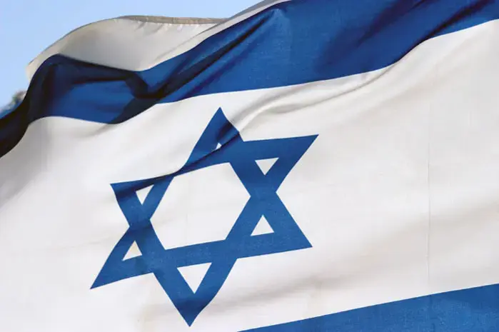 "מניפים את הדגל למען יתומי צה"ל"