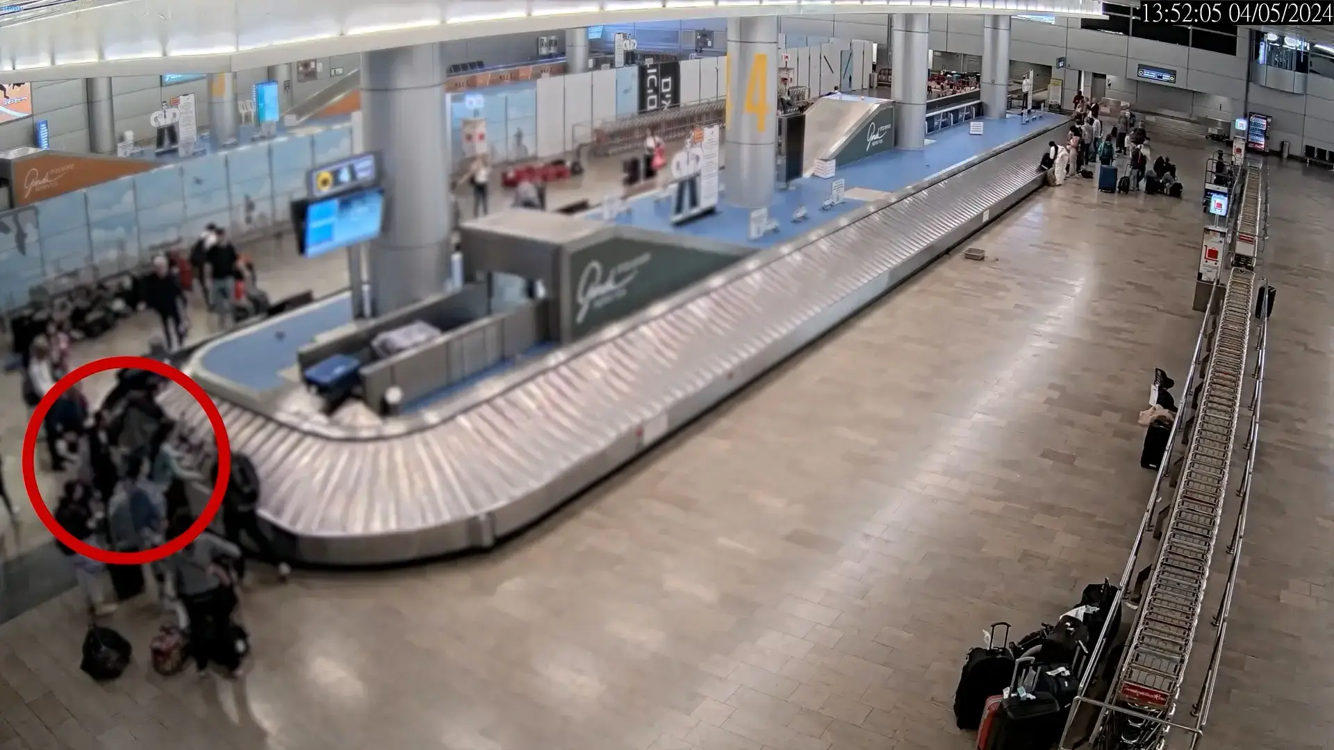שבע מזוודות ו-216 ק"ג גת: ישראלי בן 22 הסתבך באיטליה