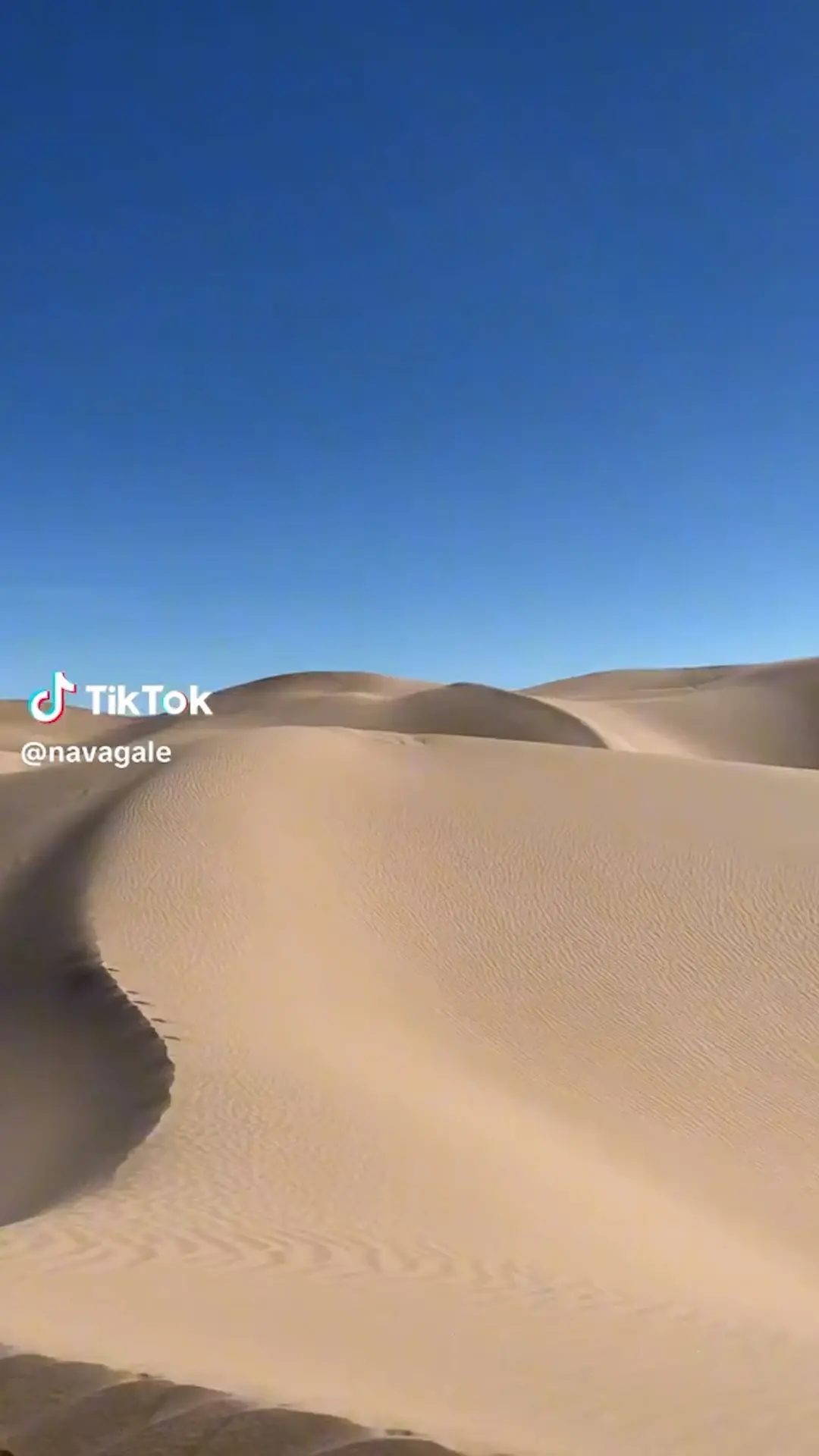 אחרי 32 שנה: נערה שנעדרה מגיל 13 נמצאה בחיים, המשטרה: "לא נחשוף פרטים מדאגה לפרטיותה"