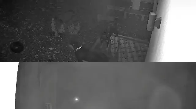 אני תלמיד שפונה מקריית שמונה. בין הבלאגן והבלבול - זכיתי לרגע של אושר