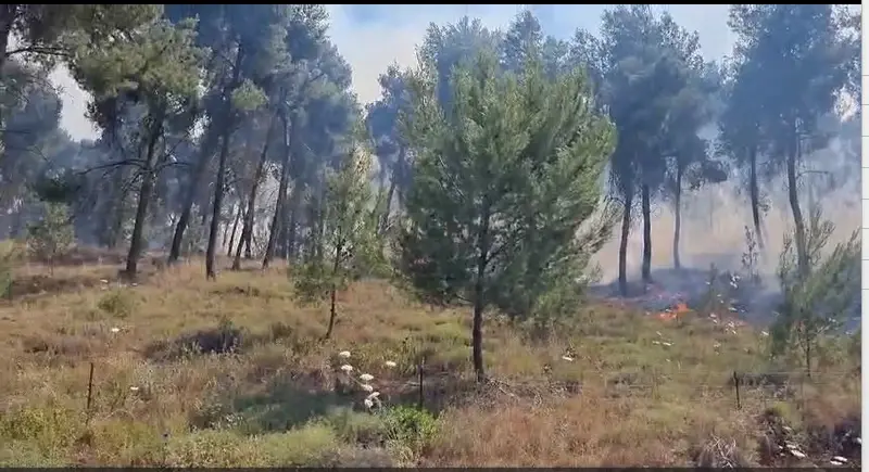 בא לשכונה בחור חדש: אסף לנגלבן נבחר לראשות המועצה האזורית הגליל העליון