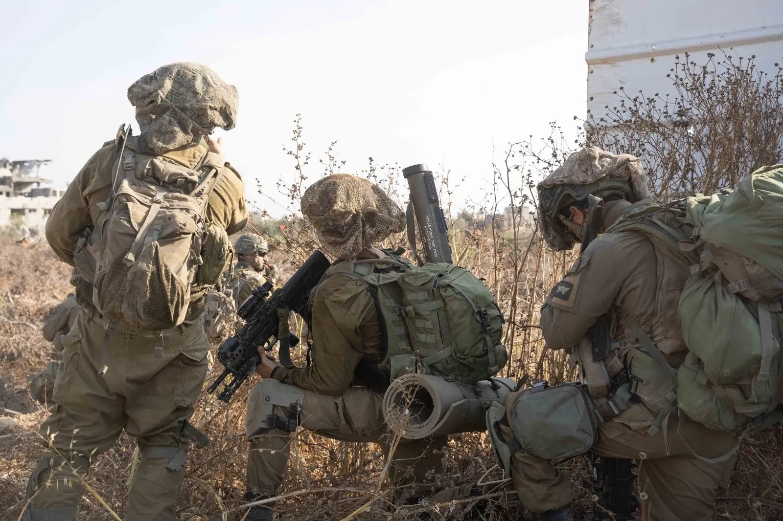 אח שלי, אני מתחנן: שכח מהממשלה ובוא למילואים למען המדינה